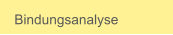 Bindungsanalyse